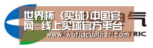 上汽电器
