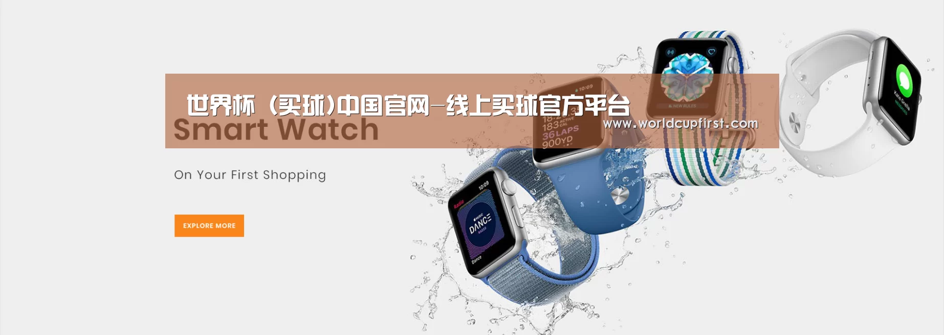 某某网络科技有限公司