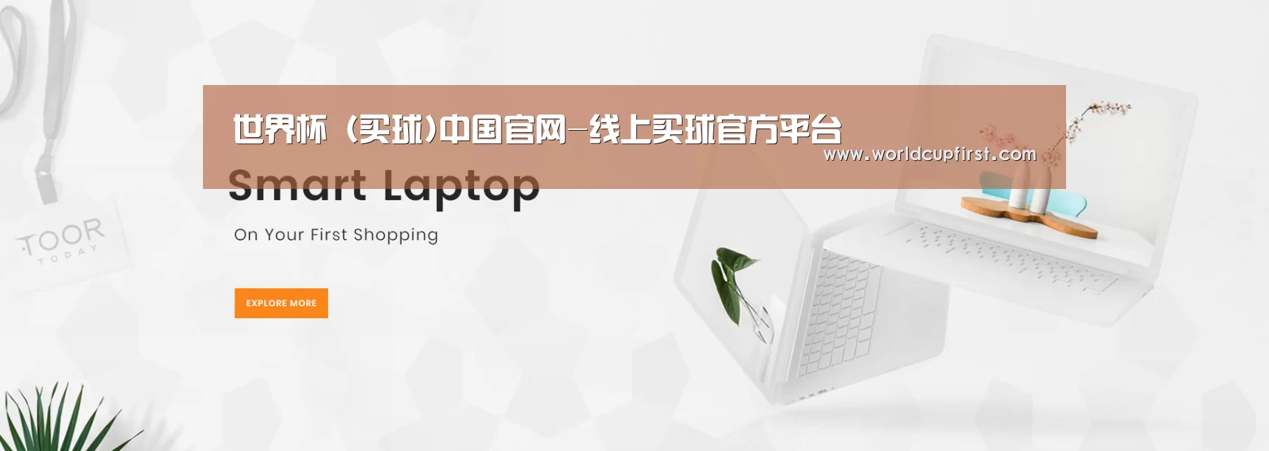某某网络科技有限公司