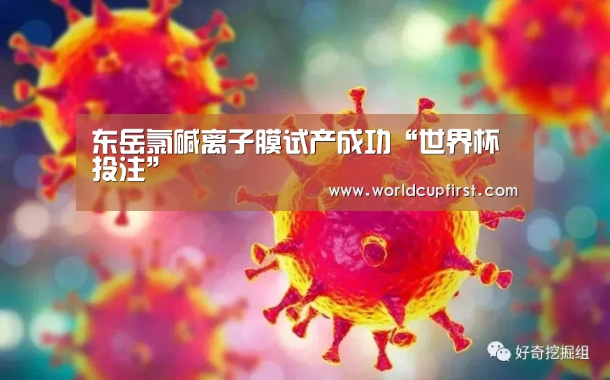 东岳氯碱离子膜试产成功“世界杯投注”