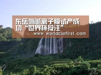 东岳氯碱离子膜试产成功“世界杯投注”(图3) 世界杯外围买球