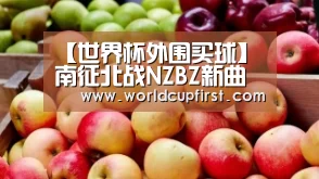 【世界杯外围买球】南征北战NZBZ新曲全网首发 为心底坚守的爱《唱首歌》(图3) 世界杯外围买球