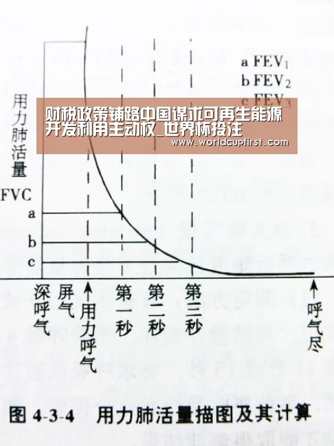 财税政策铺路中国谋求可再生能源开发利用主动权_世界杯投注(图1) 世界杯外围买球