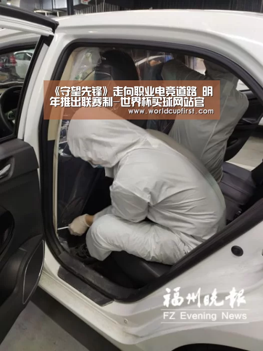 《守望先锋》走向职业电竞道路 明年推出联赛制-世界杯买球网站官网(图1) 世界杯买球网站