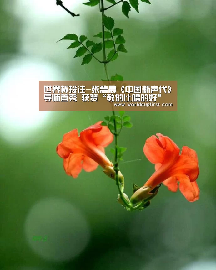 世界杯投注-张碧晨《中国新声代》导师首秀 获赞“教的比唱的好”(图3) 世界杯买球网站