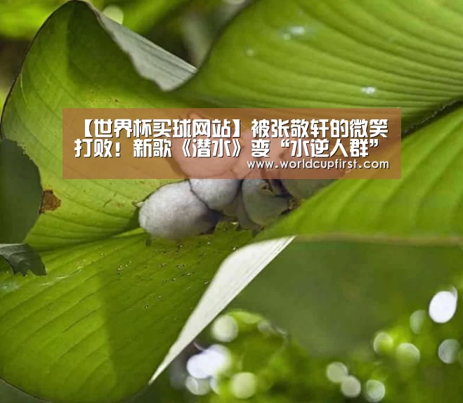 世界杯买球网站官网